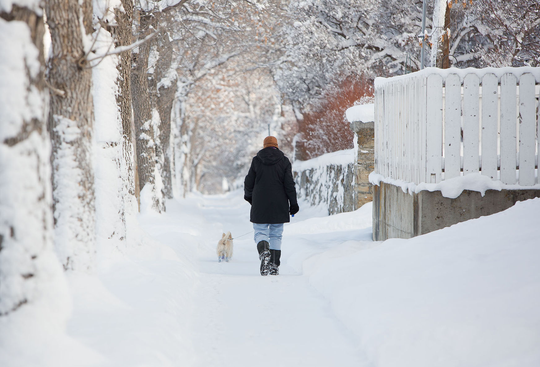 Snow